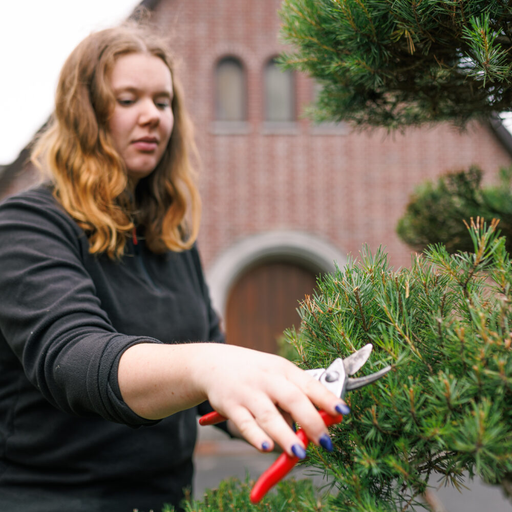 Friedhof Uetersen Friedhof Tornesch Mitarbeiter102