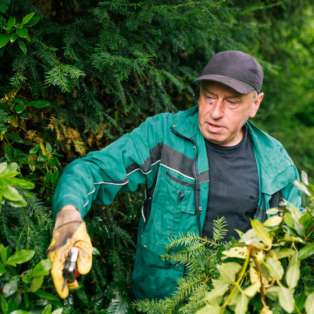 Friedhof Uetersen Friedhof Tornesch Mitarbeiter14