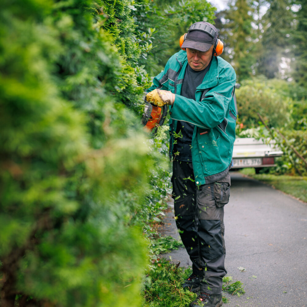Friedhof Uetersen Friedhof Tornesch Mitarbeiter22