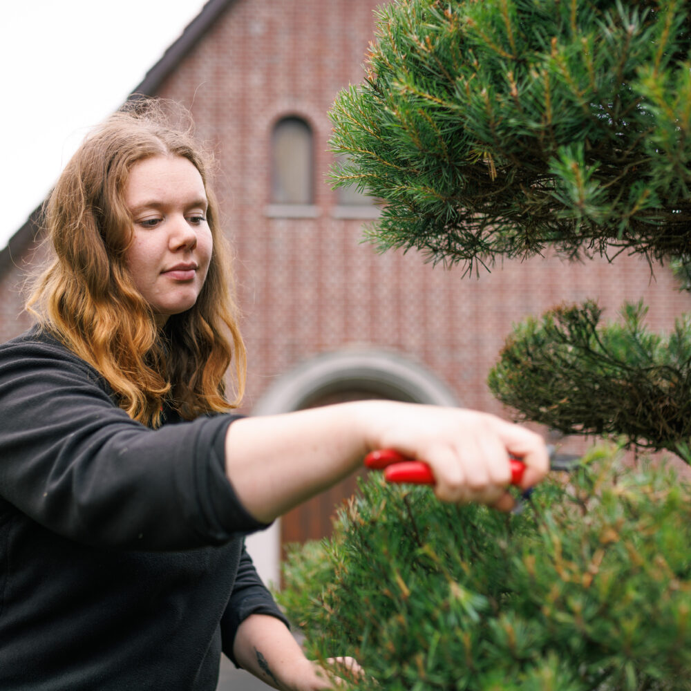 250826_MK_FriedhofUETTOR-103