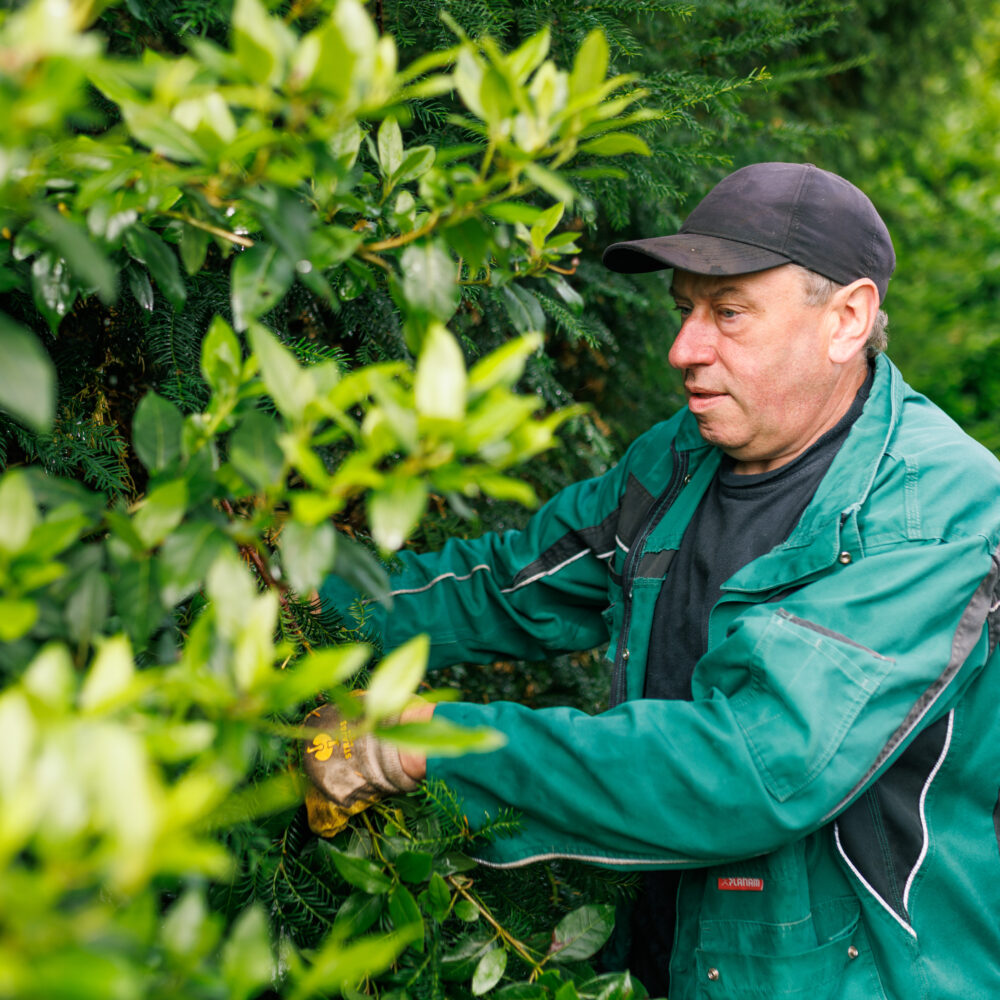 250826_MK_FriedhofUETTOR-12