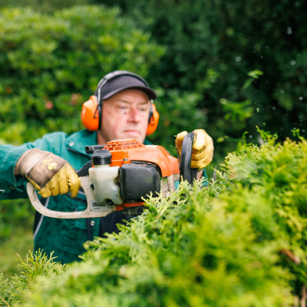 250826_MK_FriedhofUETTOR-16